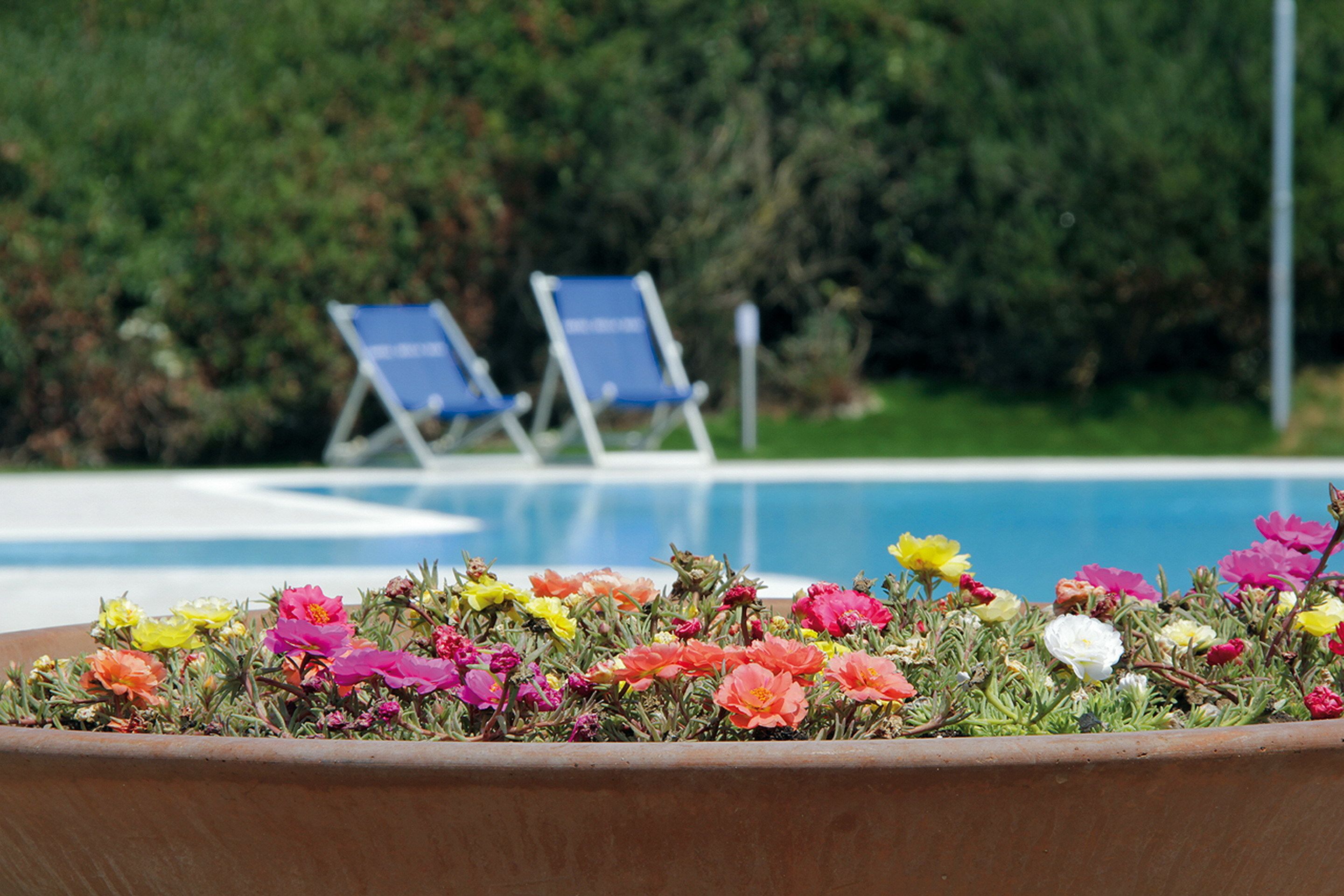 outdoor pool, pool loungers