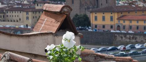 A table with breakfast items, a pitcher, and a flower arrangement on a terrace overlooking a cityscape with historical buildings.