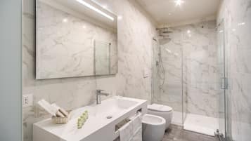 Combined shower/bathtub, free toiletries, hair dryer, bidet