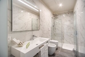 Combined shower/bathtub, free toiletries, hair dryer, bidet