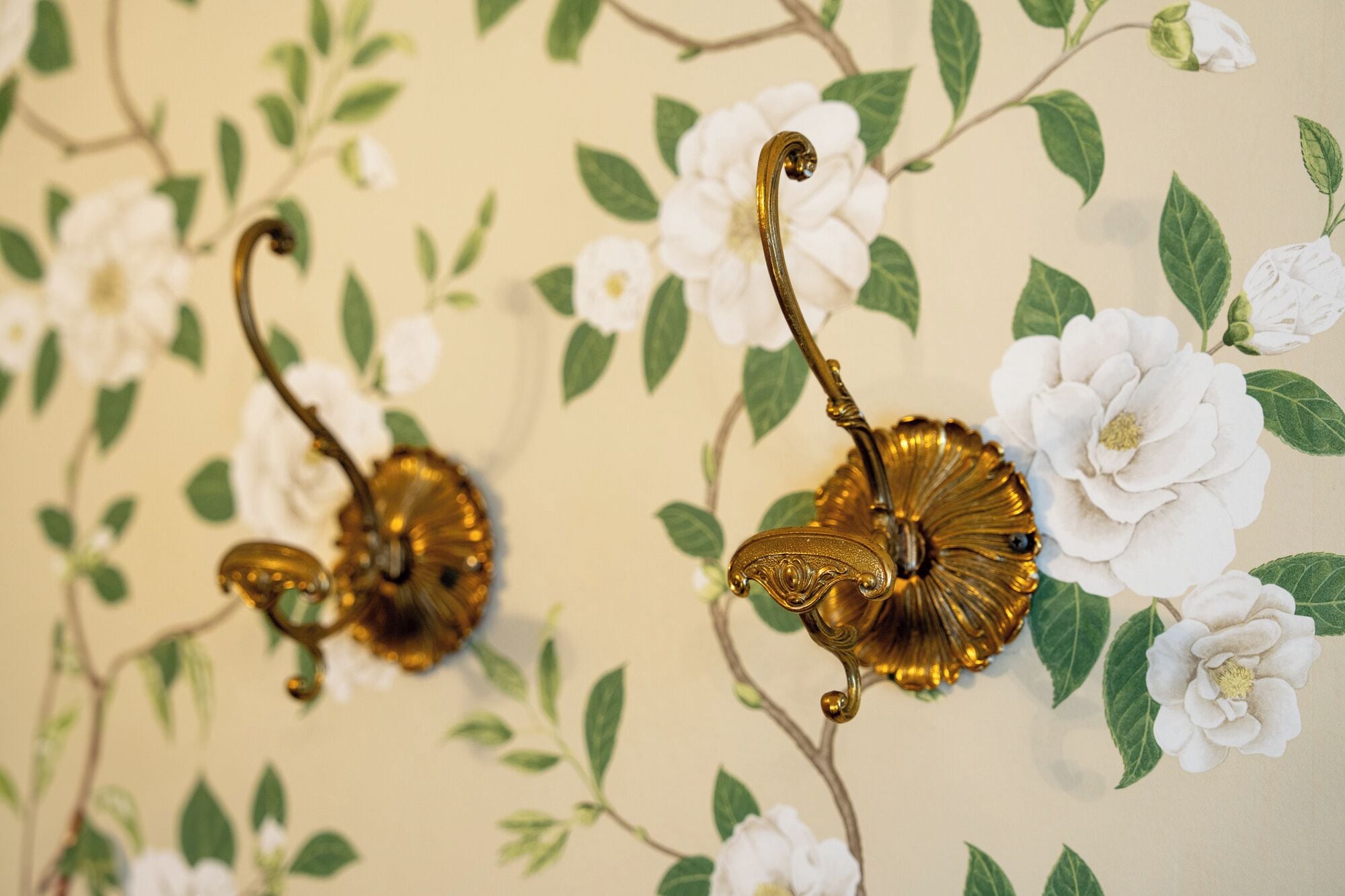 Wall-mounted brass sconces with floral designs.