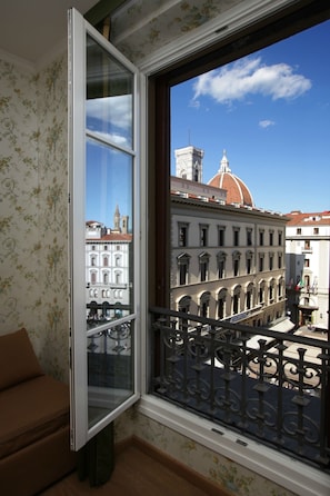 Vista desde la propiedad