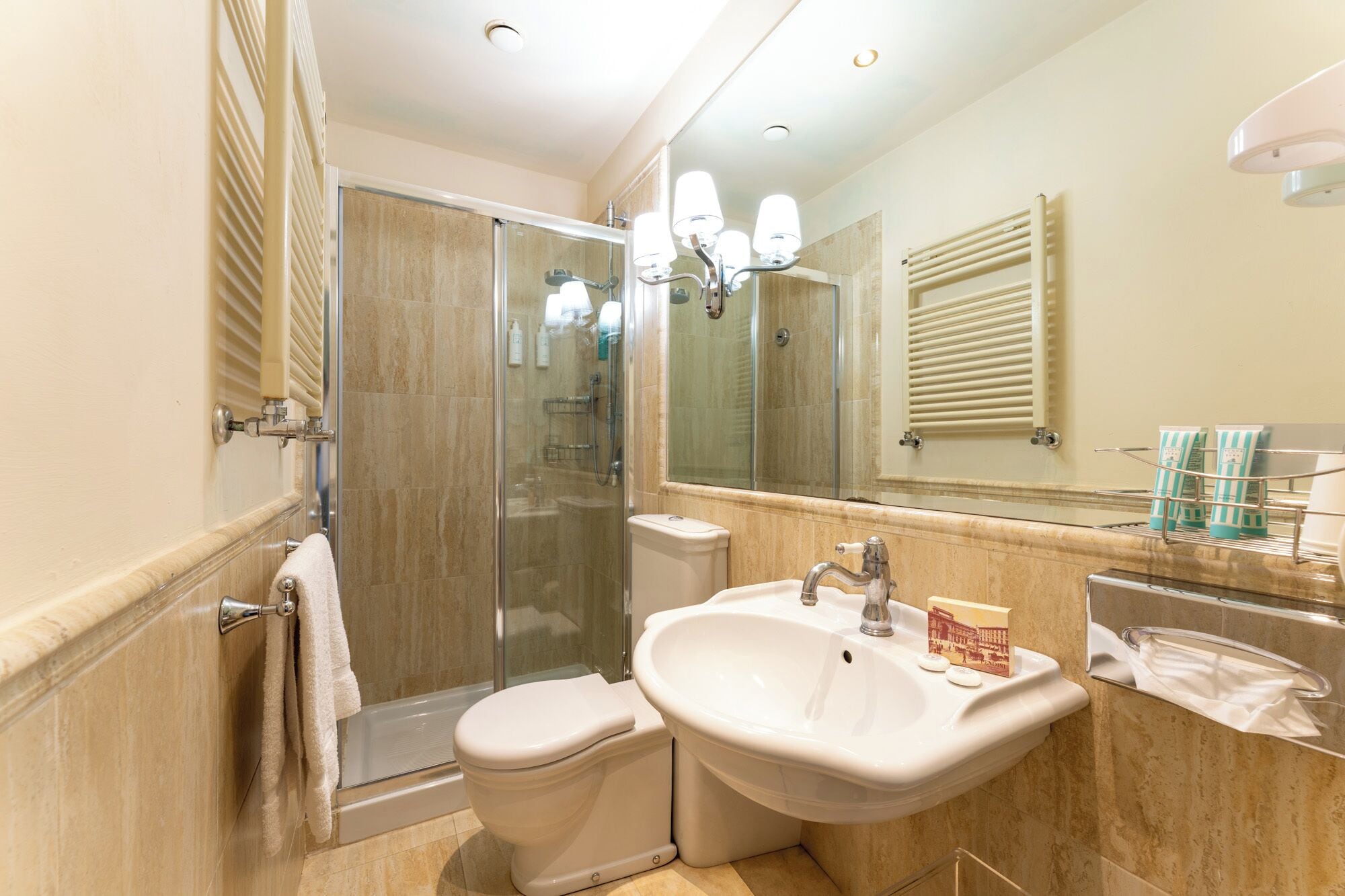 standard double or twin room | bathroom | shower, free toiletries, hair dryer, towels