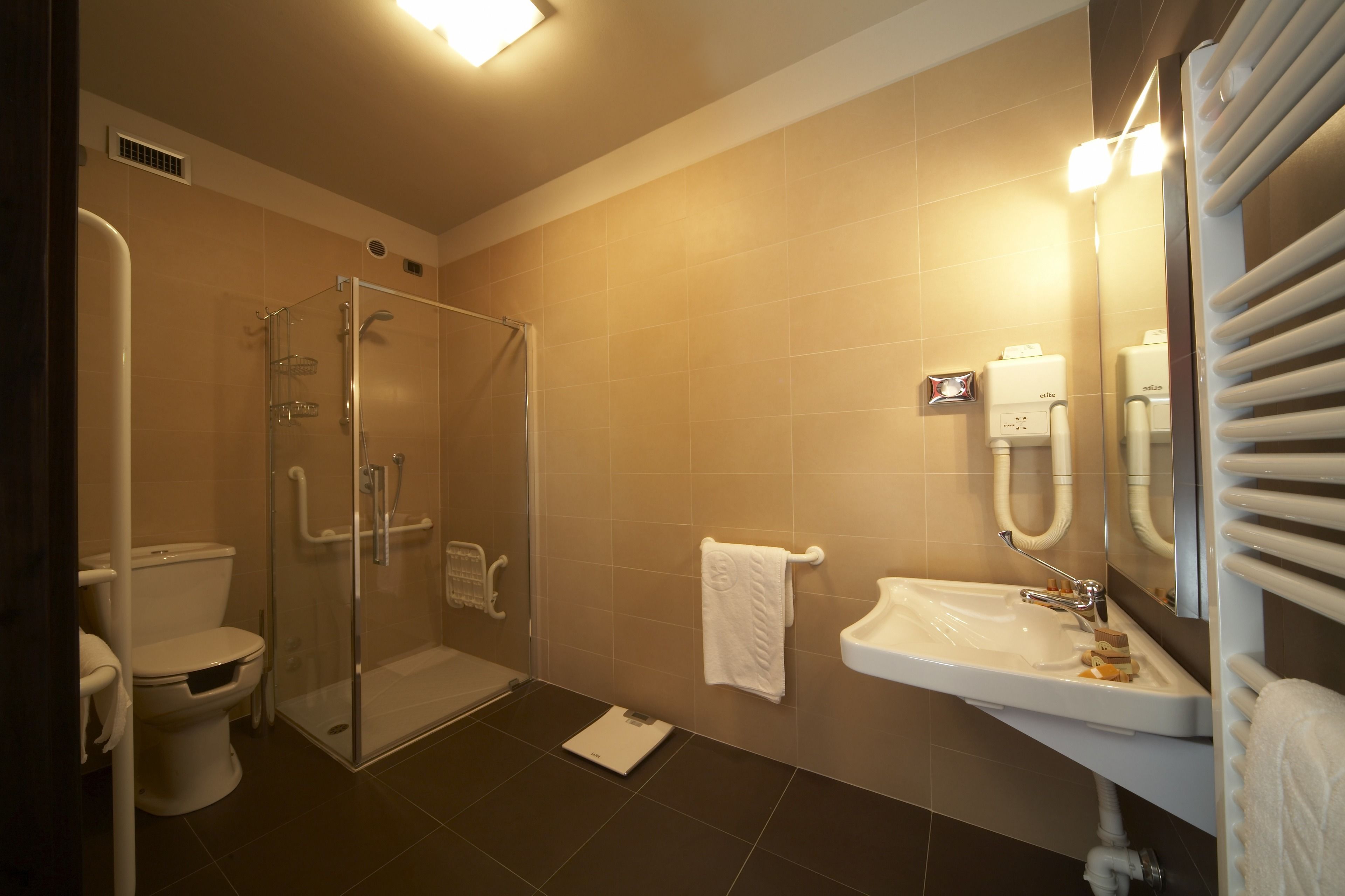 shower, free toiletries, hair dryer, bidet