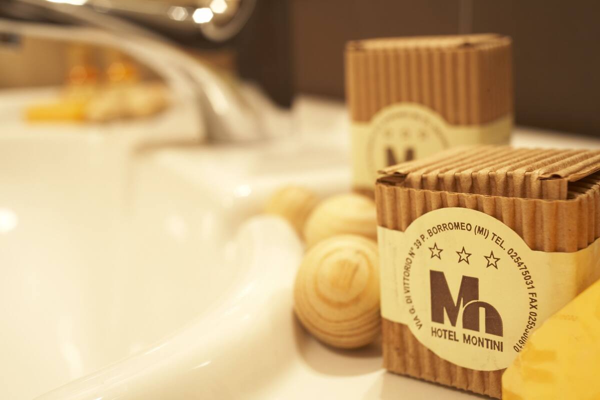 shower, free toiletries, hair dryer, bidet