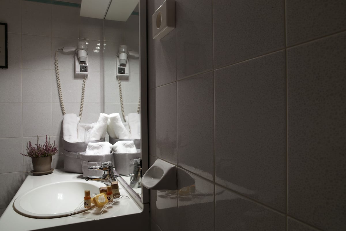 shower, free toiletries, hair dryer, bidet