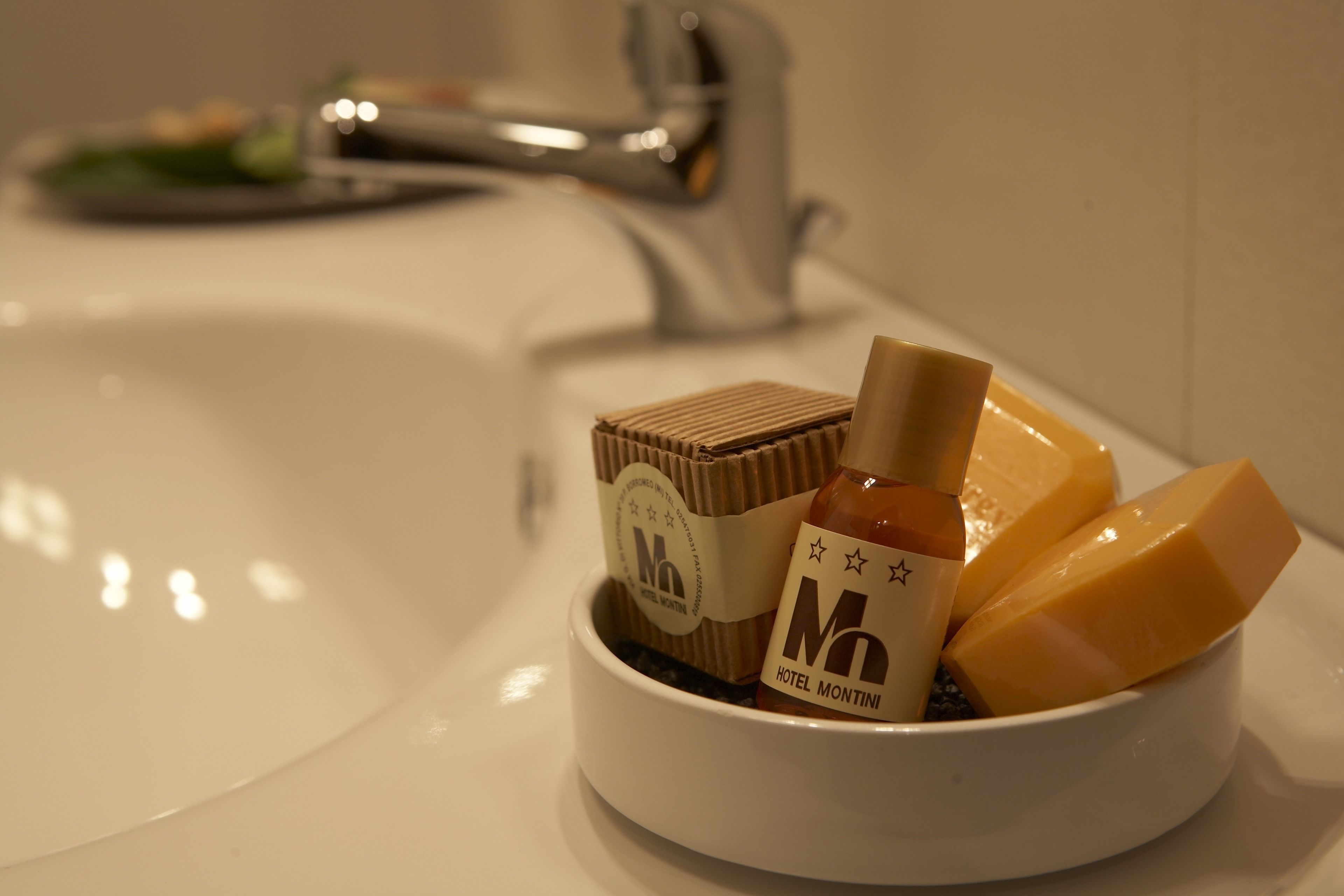 shower, free toiletries, hair dryer, bidet