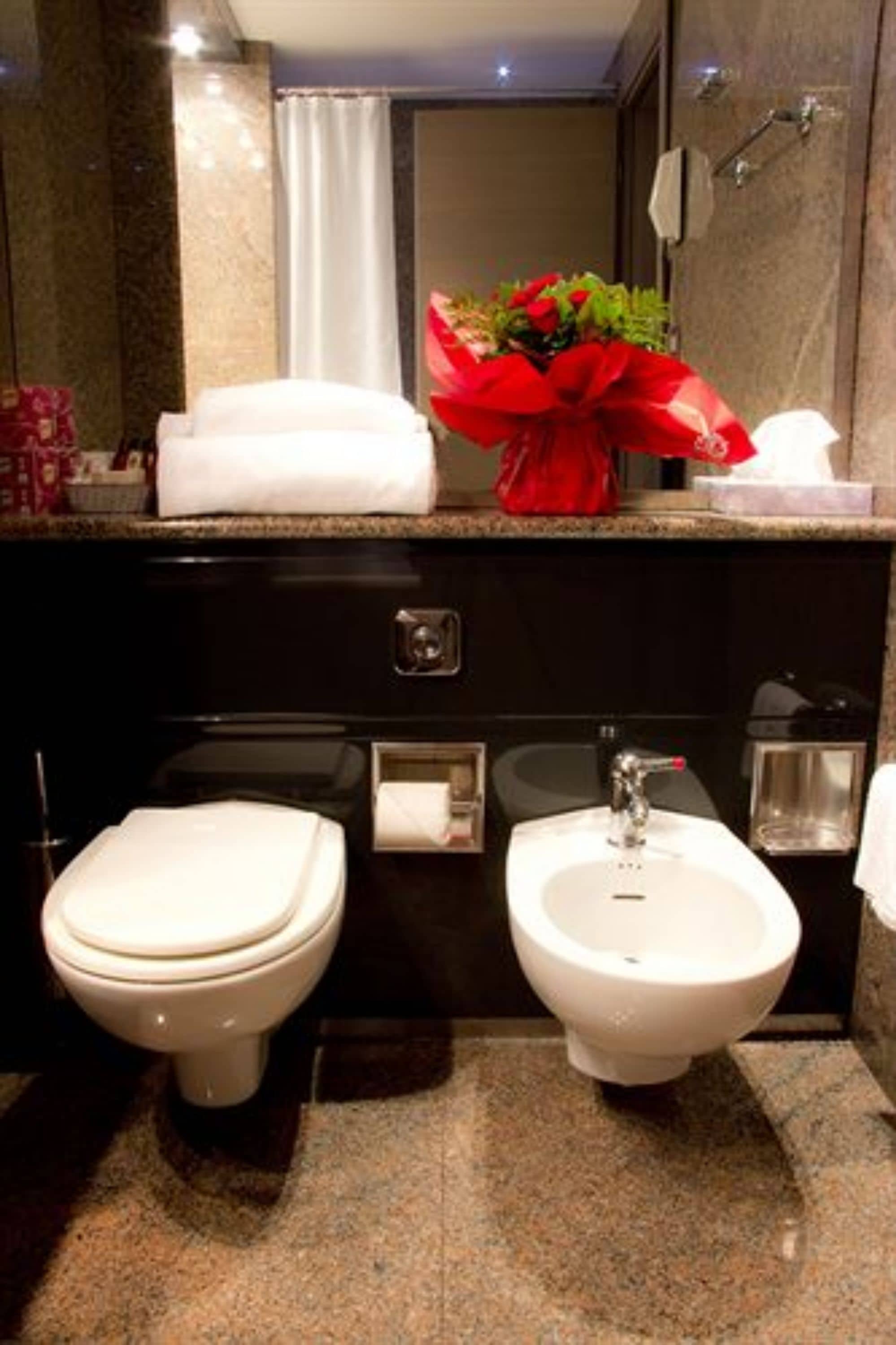 free toiletries, hair dryer, bidet, towels