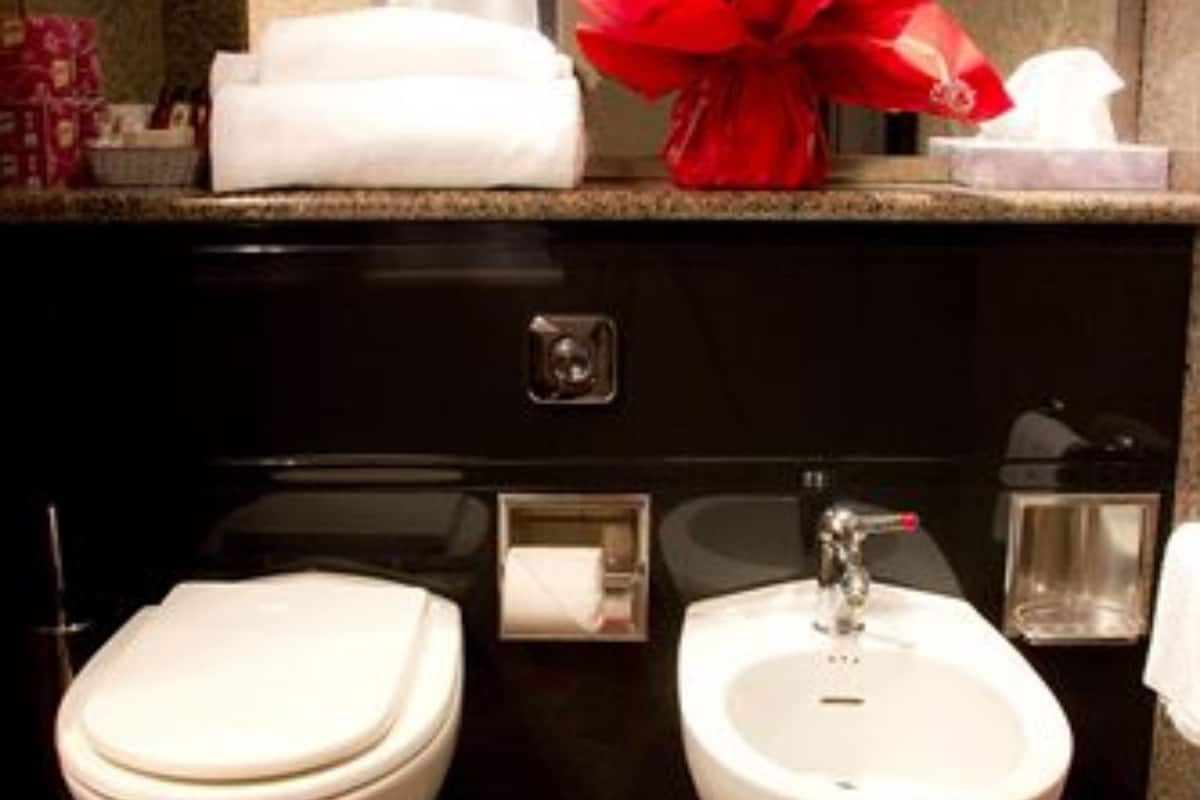 free toiletries, hair dryer, bidet, towels