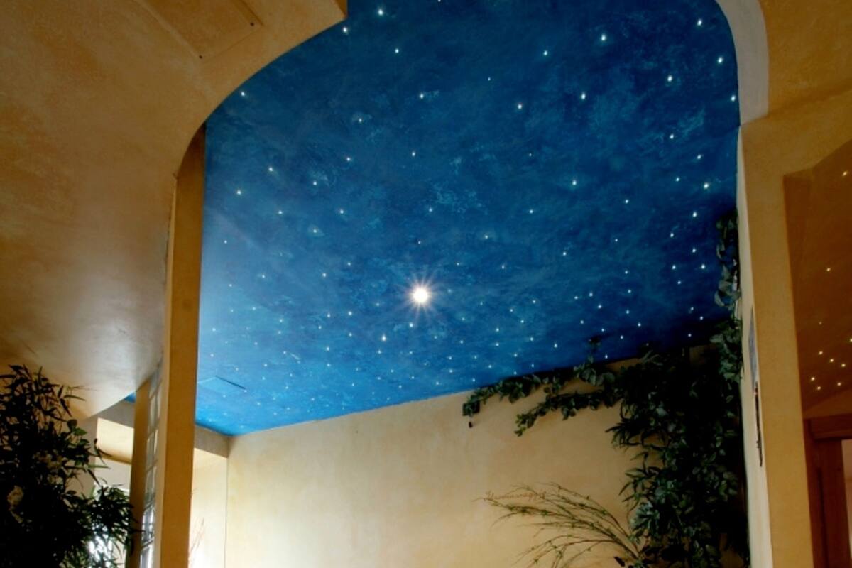 A circular hot tub with a starry ceiling, surrounded by stone steps and potted plants.