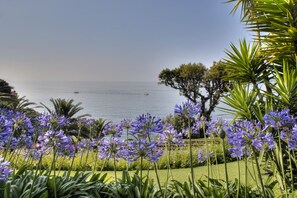 A coastal garden with a view of the sea, featuring lush greenery and purple flowers. - Hotel Continental (Santa Margherita Ligure)