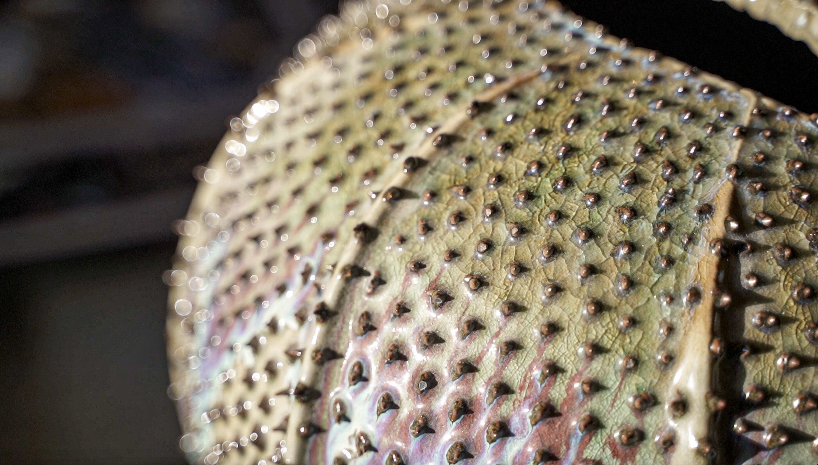 Foto - Hotel Villa Ducale