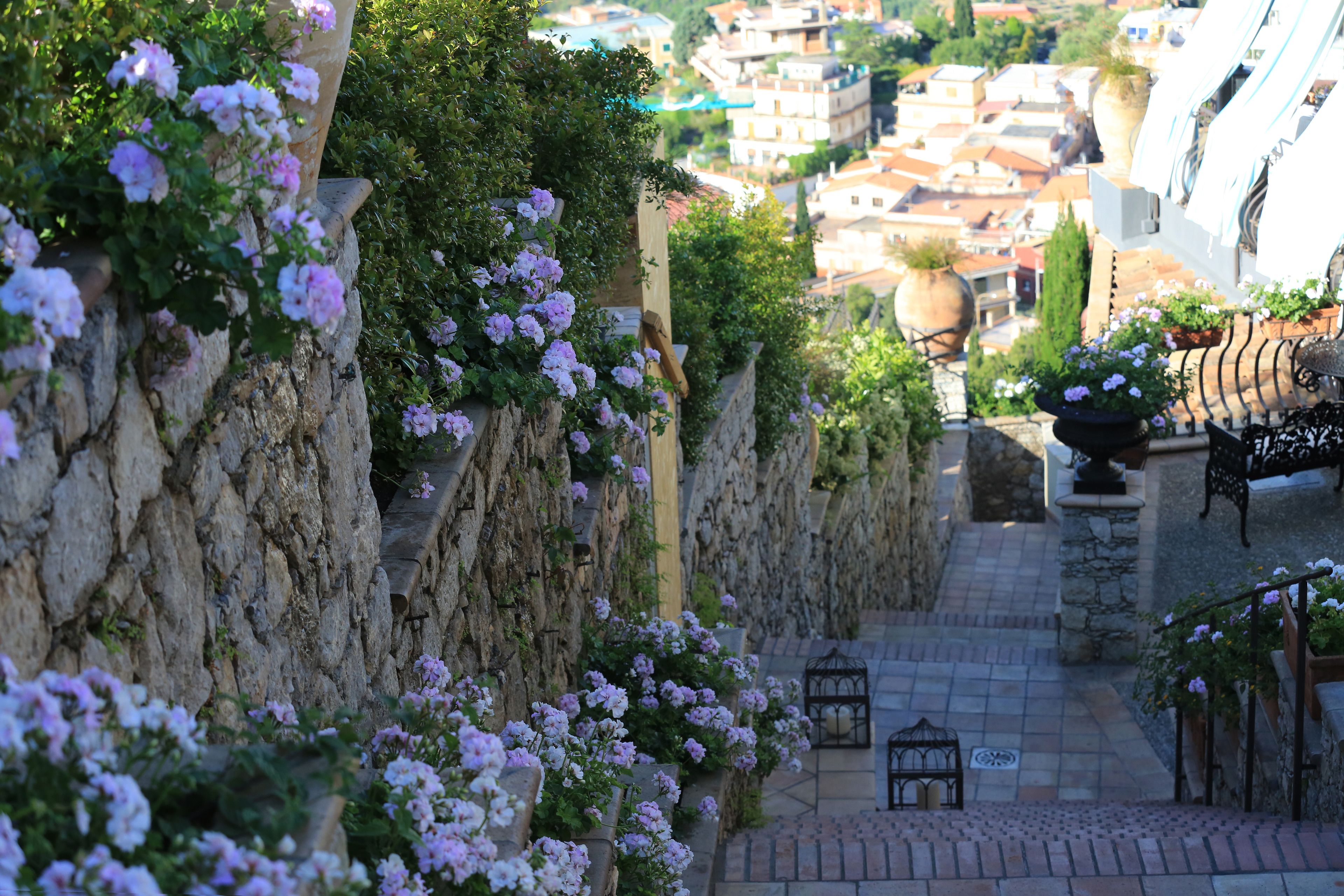Entrada de la propiedad