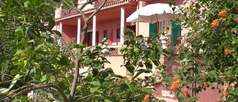 واجهة المنشأة