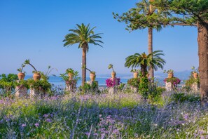 A coastal garden with potted plants and palm trees, overlooking a body of water.
