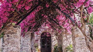 A stone staircase leading to a black door, surrounded by pink flowering vines and greenery. - San Domenico Palace, Taormina, A Four Seasons Hotel (Taormina)