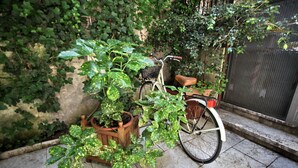 Een fiets geparkeerd op een betegeld terras, met een houten plantenbak en een mandje achterop.