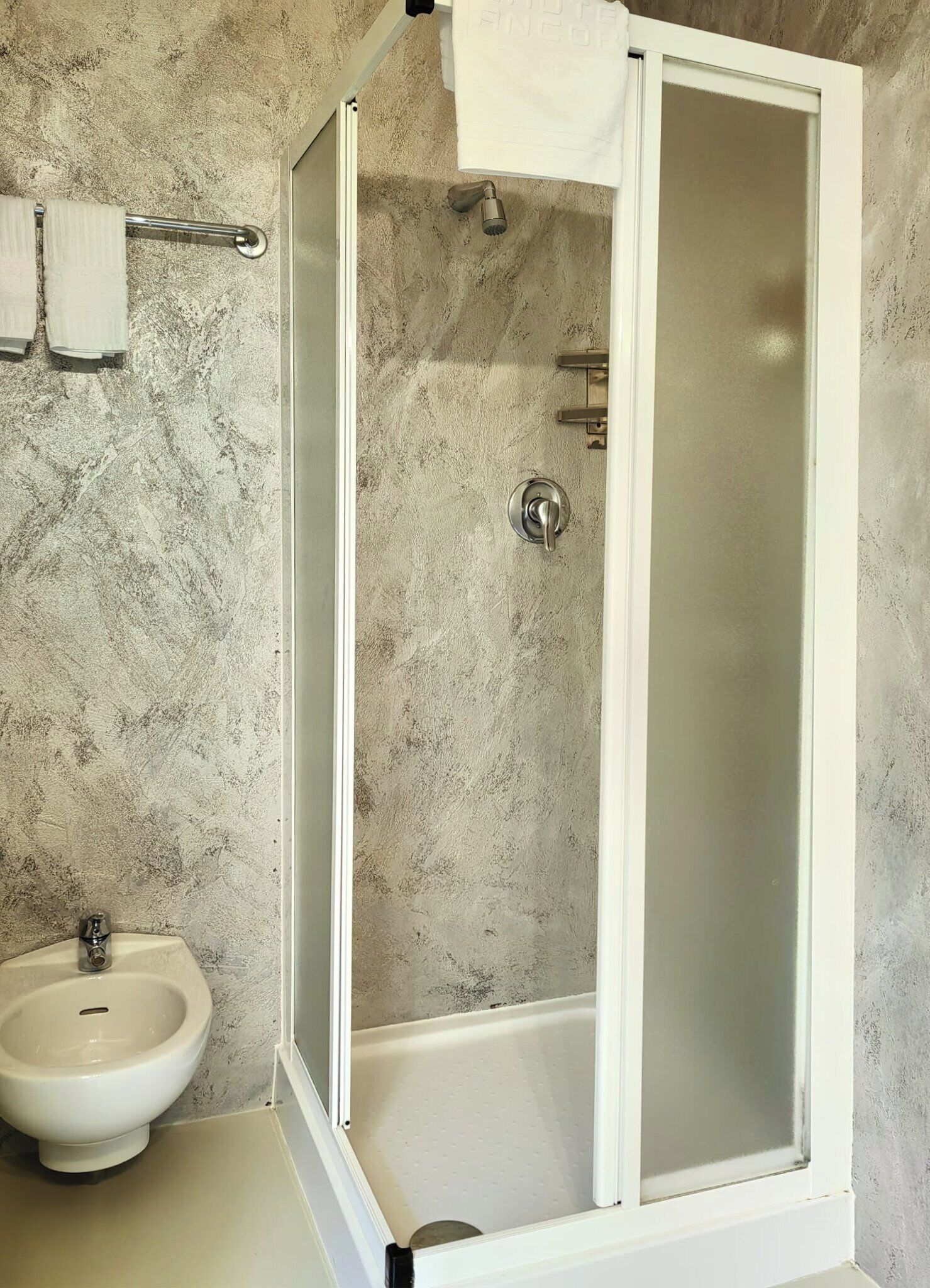 Ein Badezimmer mit Duschkabine, Bidet und Handtuchhalter.