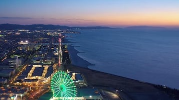 Beach/ocean view