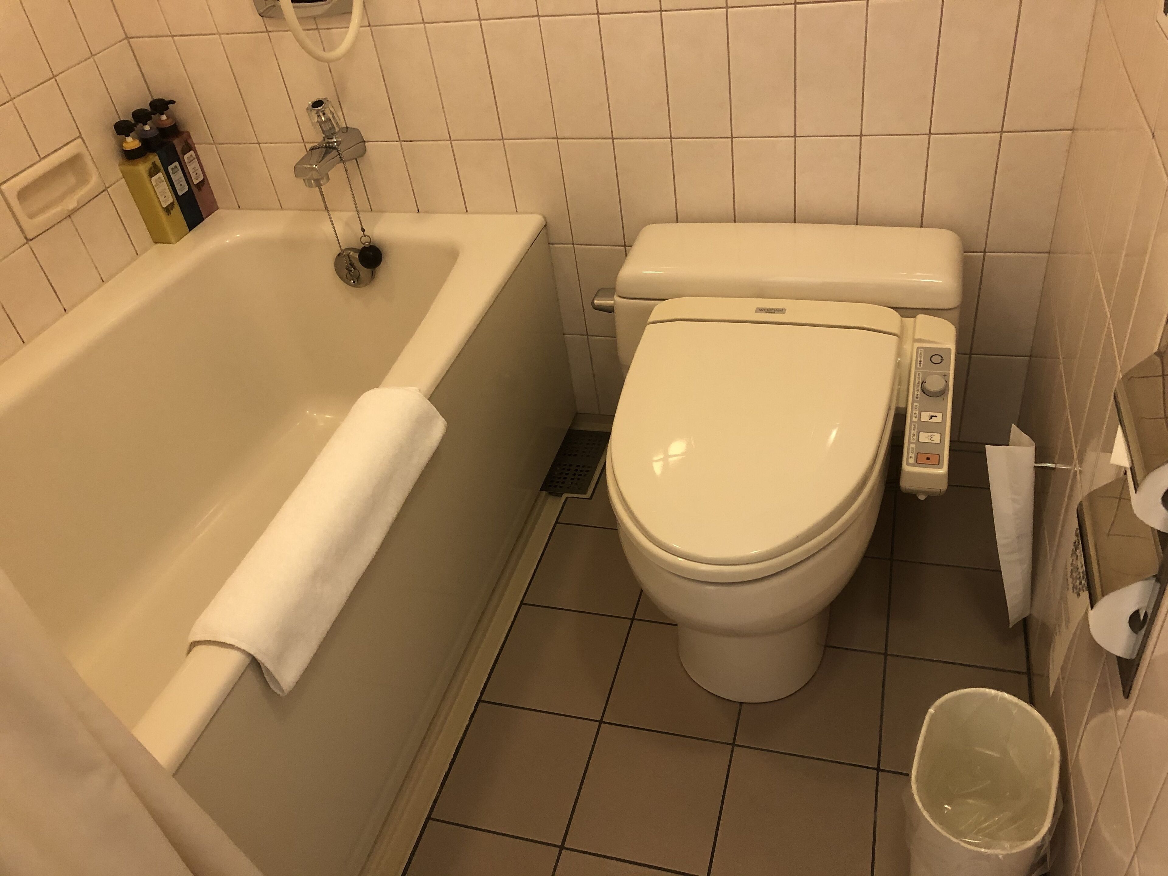 combined shower/bathtub, free toiletries, hair dryer, slippers