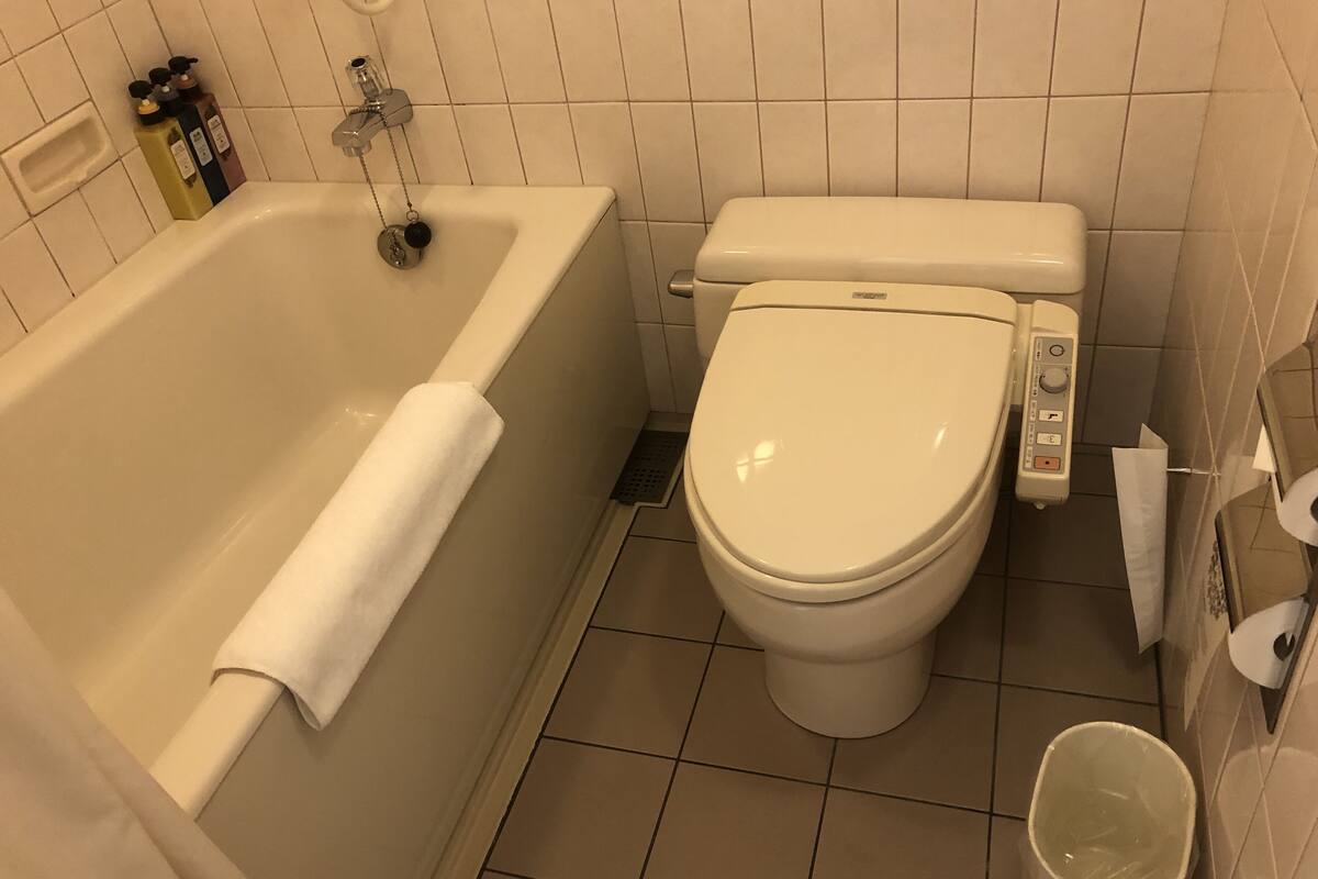 combined shower/bathtub, free toiletries, hair dryer, slippers