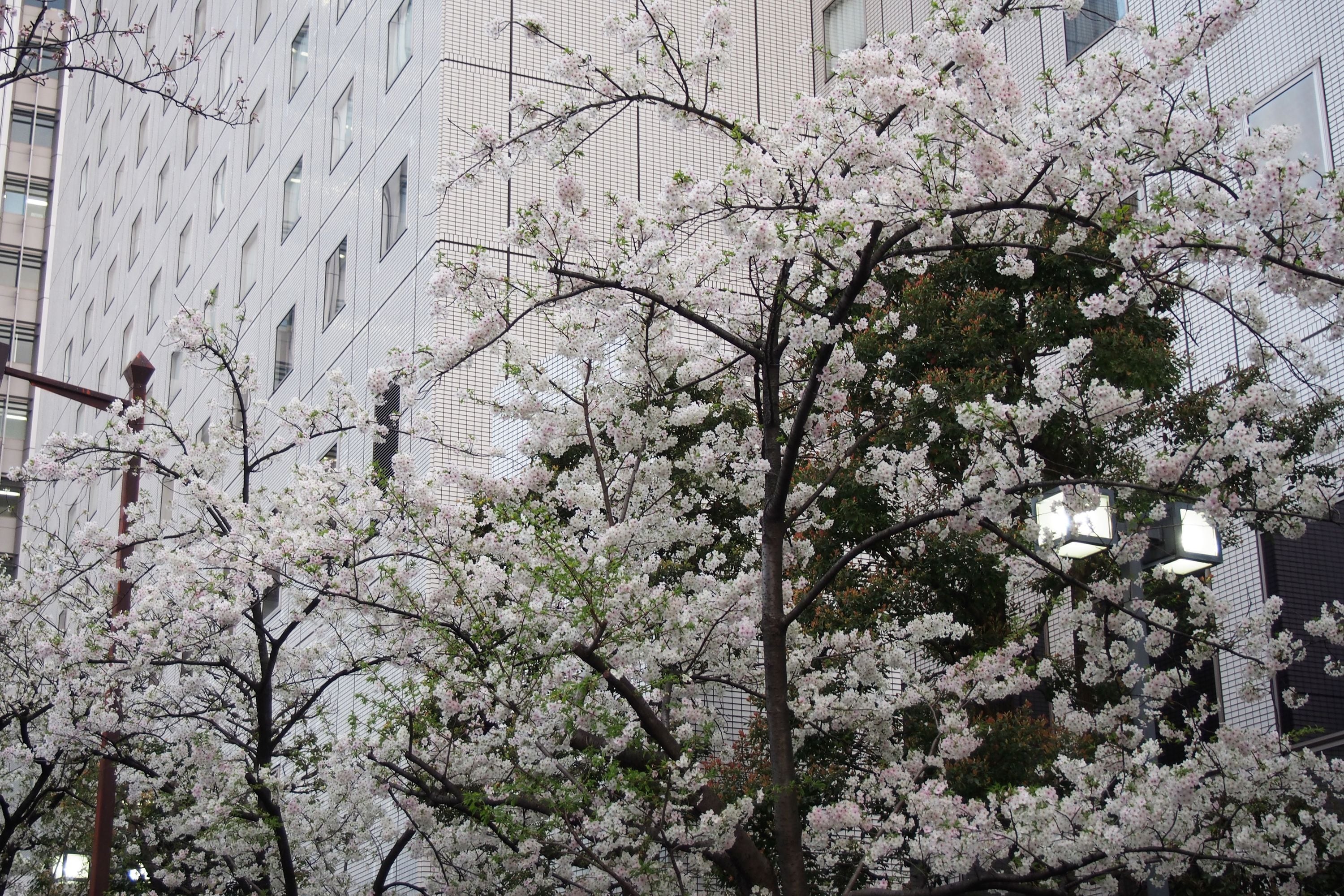 Foto - New Otani Inn Tokyo