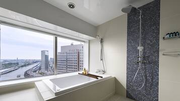 Combined shower/tub, free toiletries, hair dryer, bathrobes