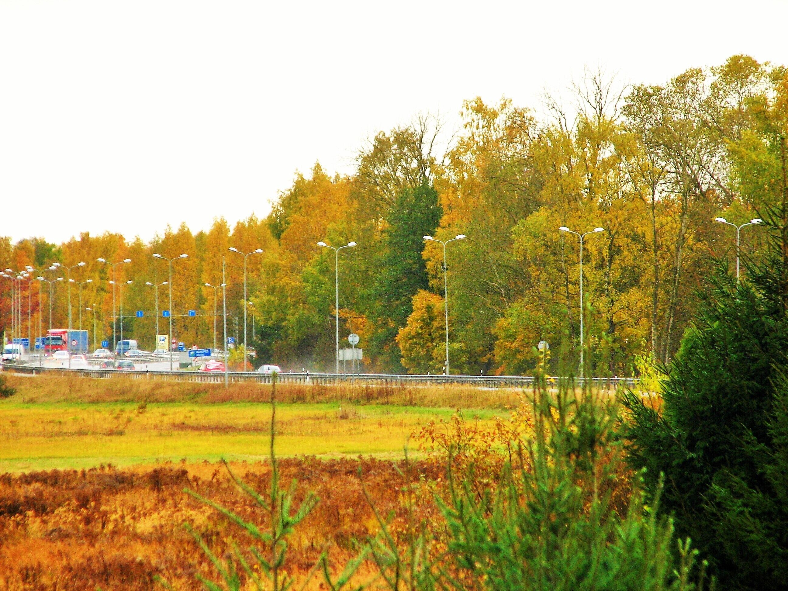 standard twin room with shower | street view