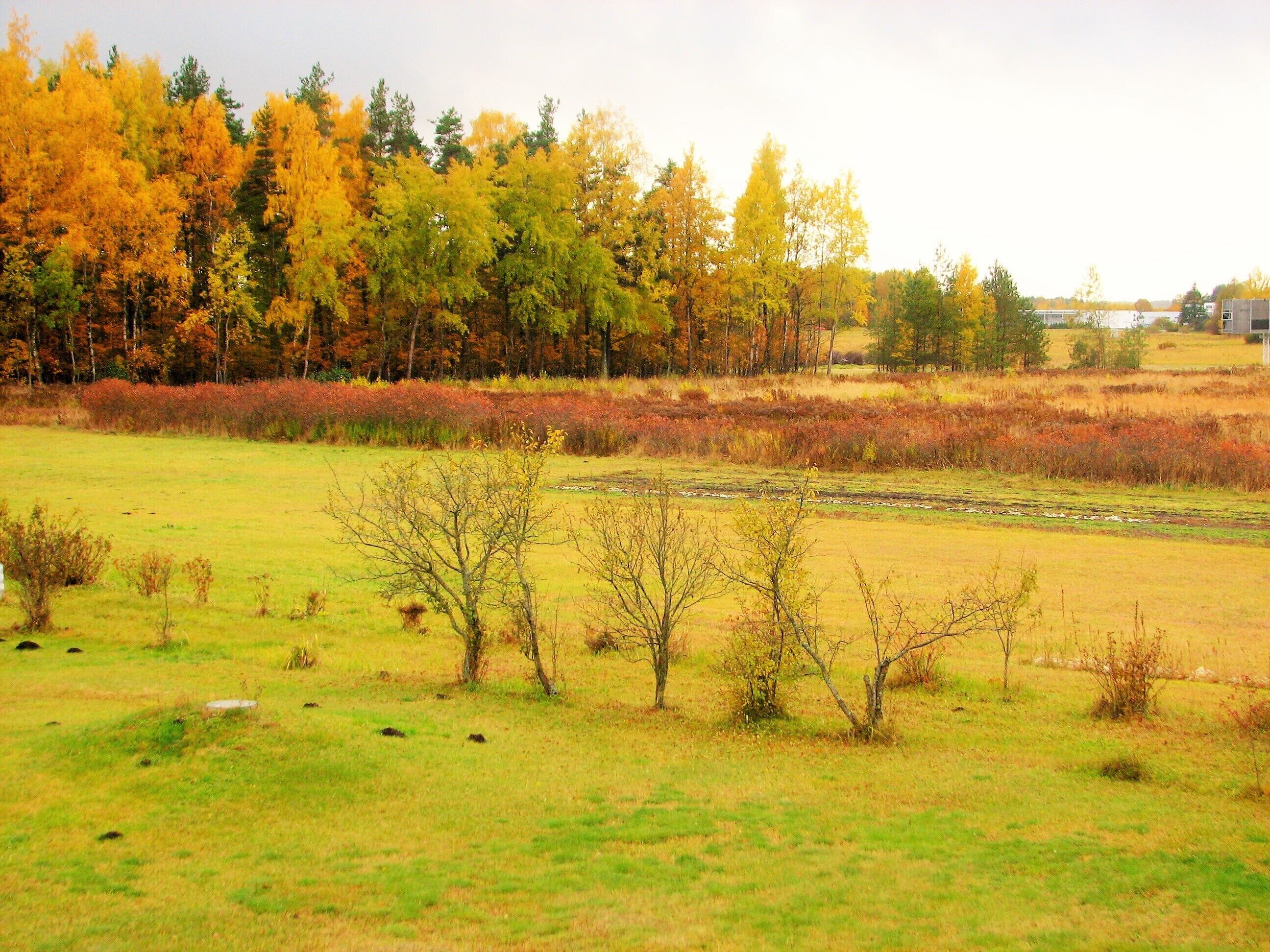 superior family room with shower | garden view
