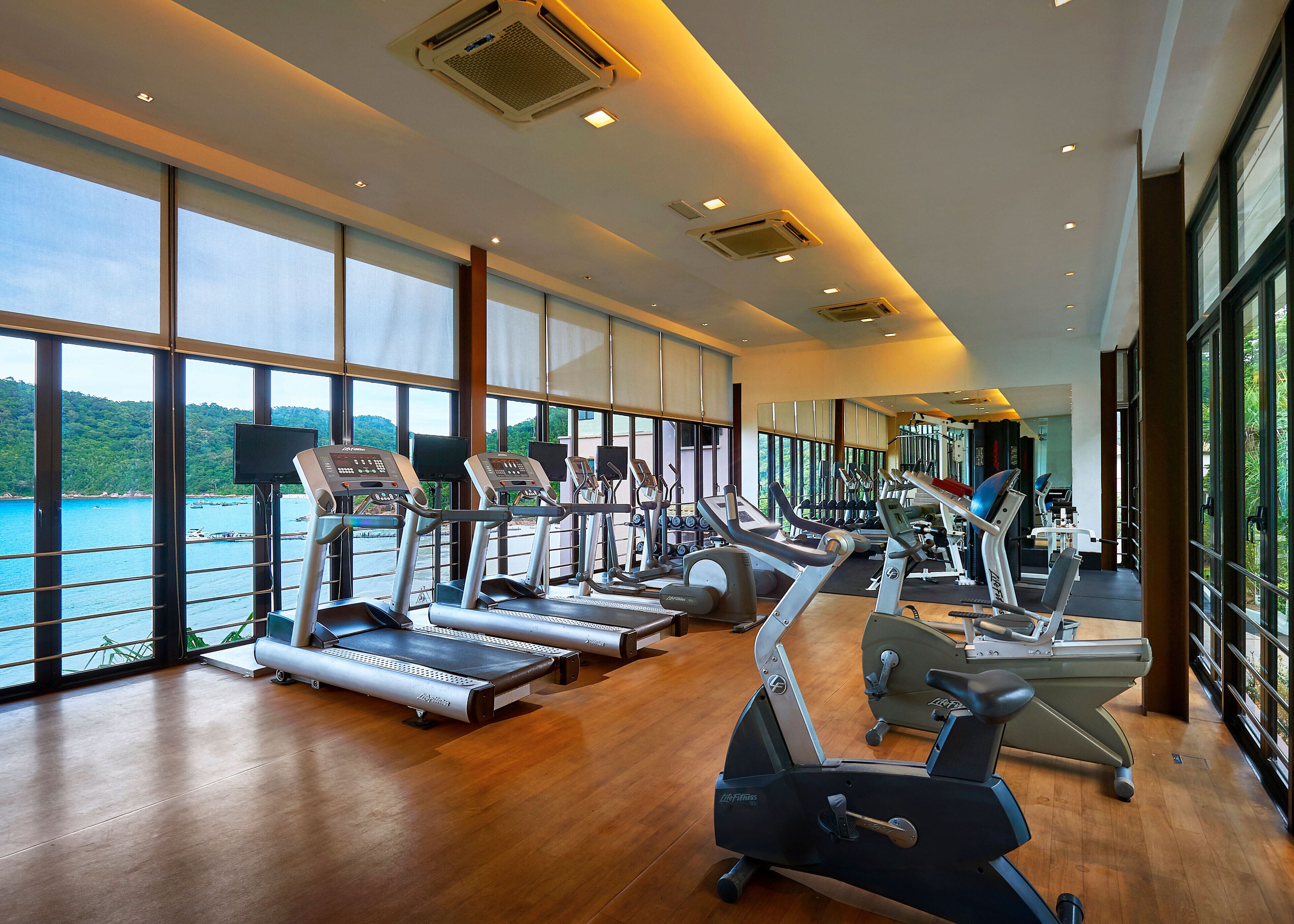 Un gimnasio con cintas de correr, elípticas y equipo de pesas, grandes ventanales con vistas a una masa de agua.