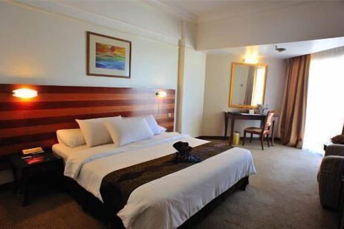 Deluxe Twin Room | Minibar, in-room safe, iron/ironing board, WiFi (free)