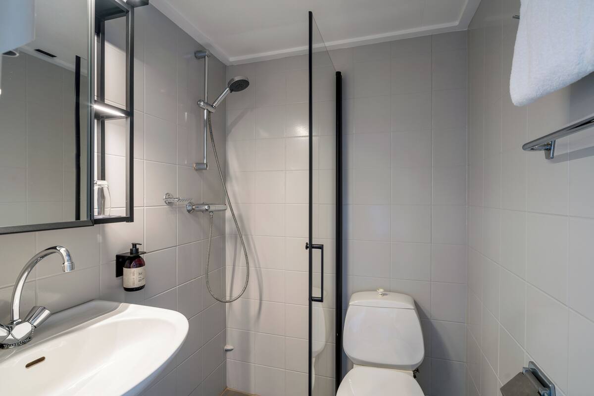 family room, 1 double bed with sofa bed, non smoking | bathroom | shower, hair dryer, towels