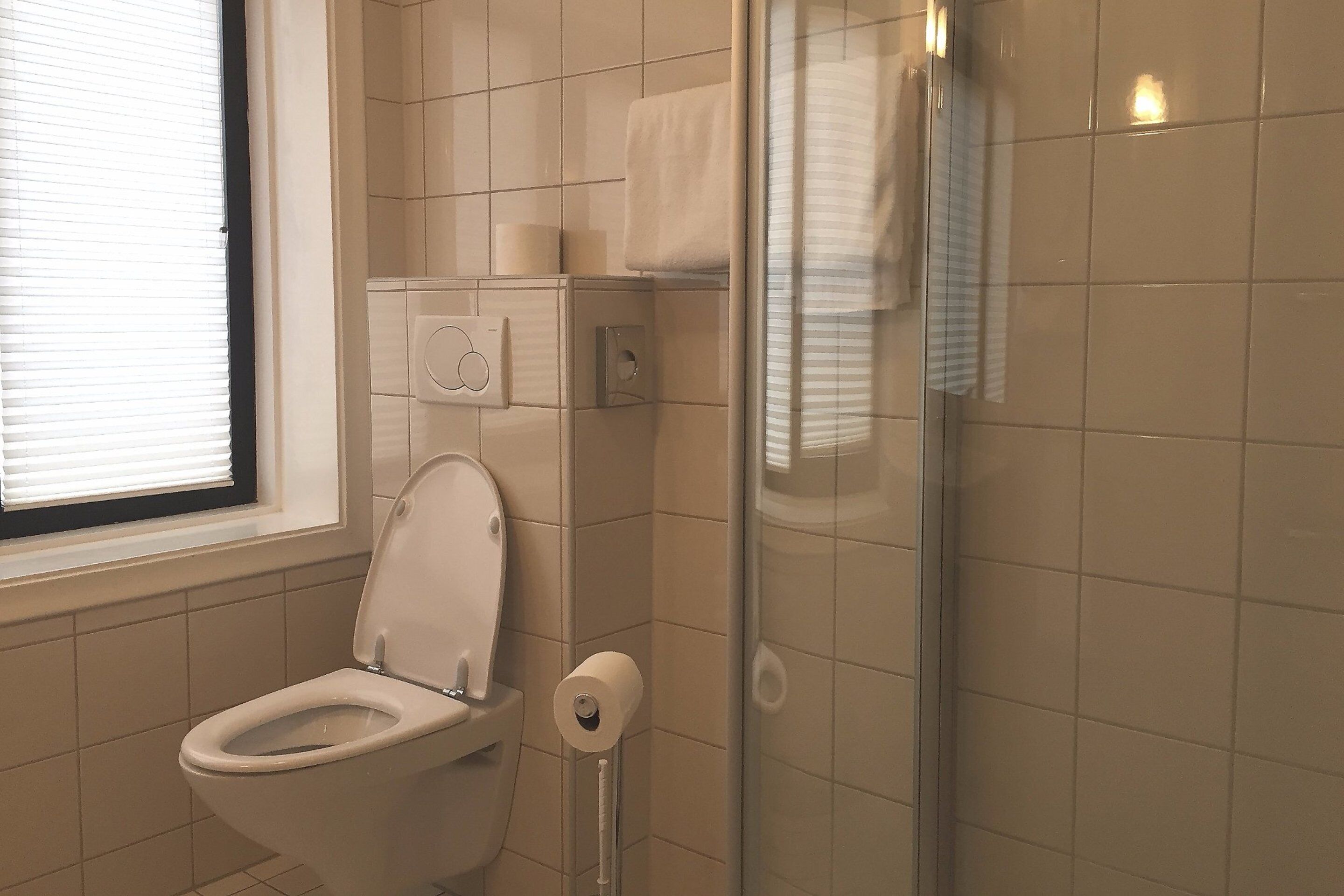 shower, free toiletries, hair dryer, towels