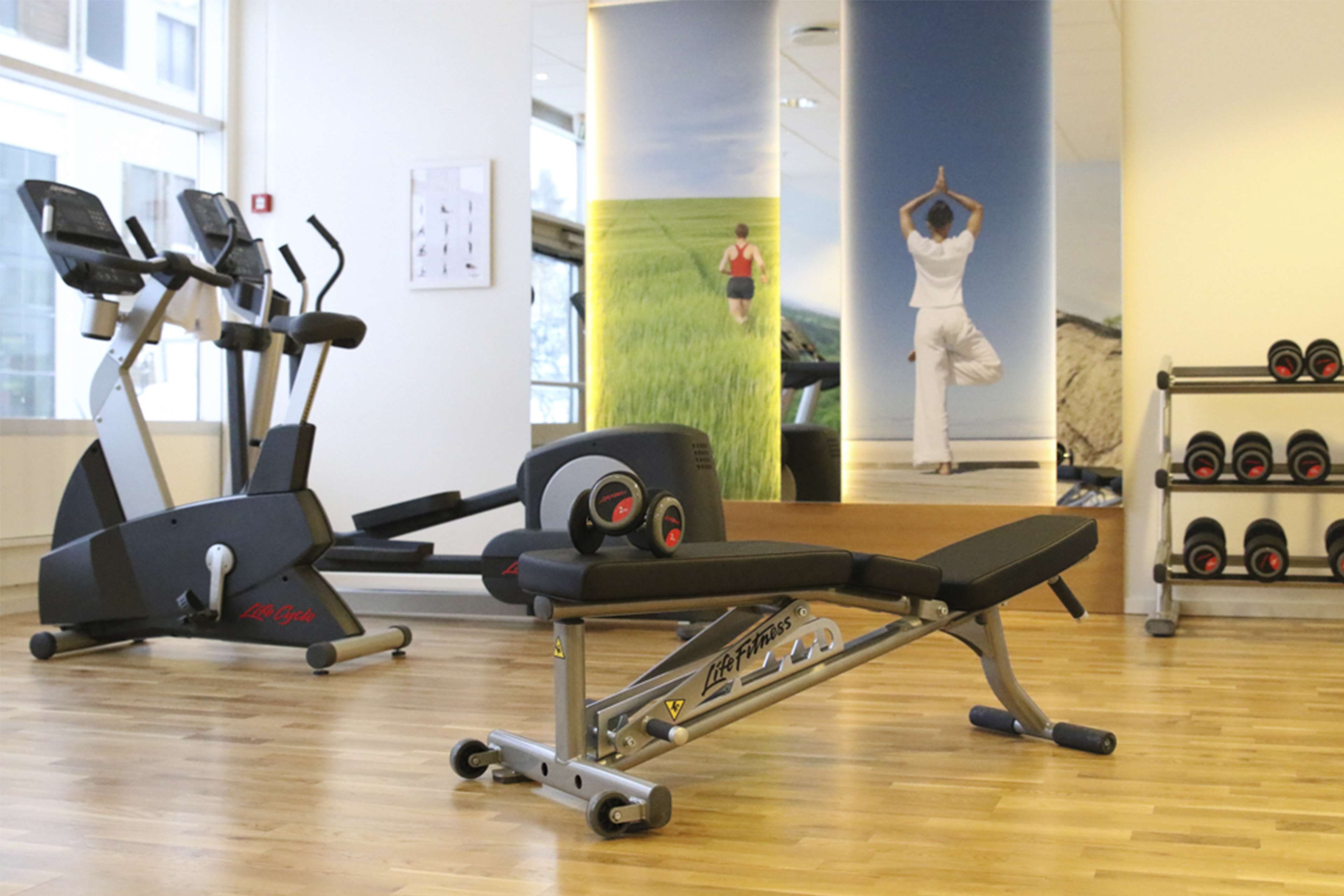 A gym with cardio machines, a bench press, and dumbbells.
