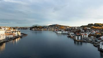 Vista desde la habitación