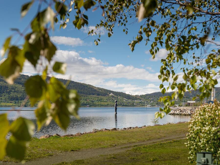 A lake with a path, a hill with trees, and a building in the background.