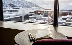 Superior Double Room, City View (Extra) | View from room