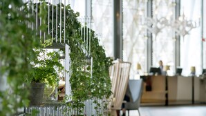 A modern interior with a metal plant stand, a wooden chair, and a desk area. - Scandic Ishavshotel (Tromsø)