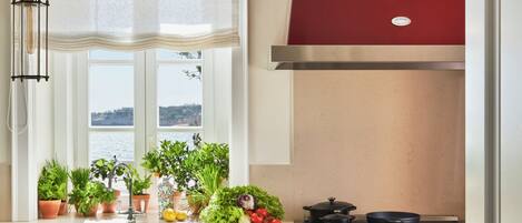 A kitchen with a red stove, a sink, and various plants on the counter.