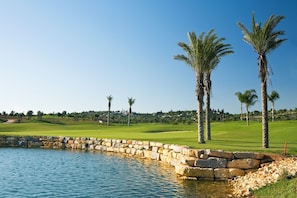 A golf course with a water feature, palm trees, and a stone wall.