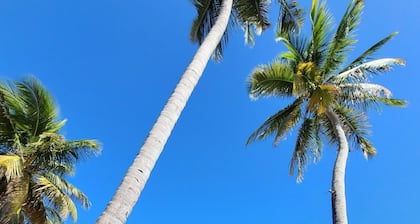 Parador Palmas de Lucía