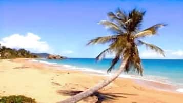 Trên bãi biển, ghế dài tắm nắng