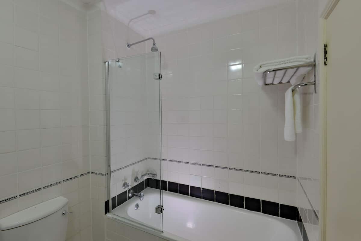Shower, designer toiletries, hair dryer, towels