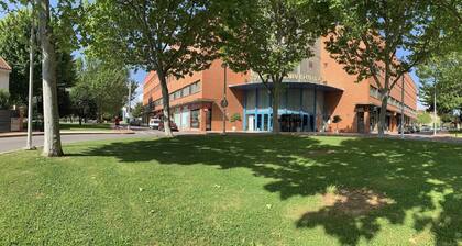 Universidad