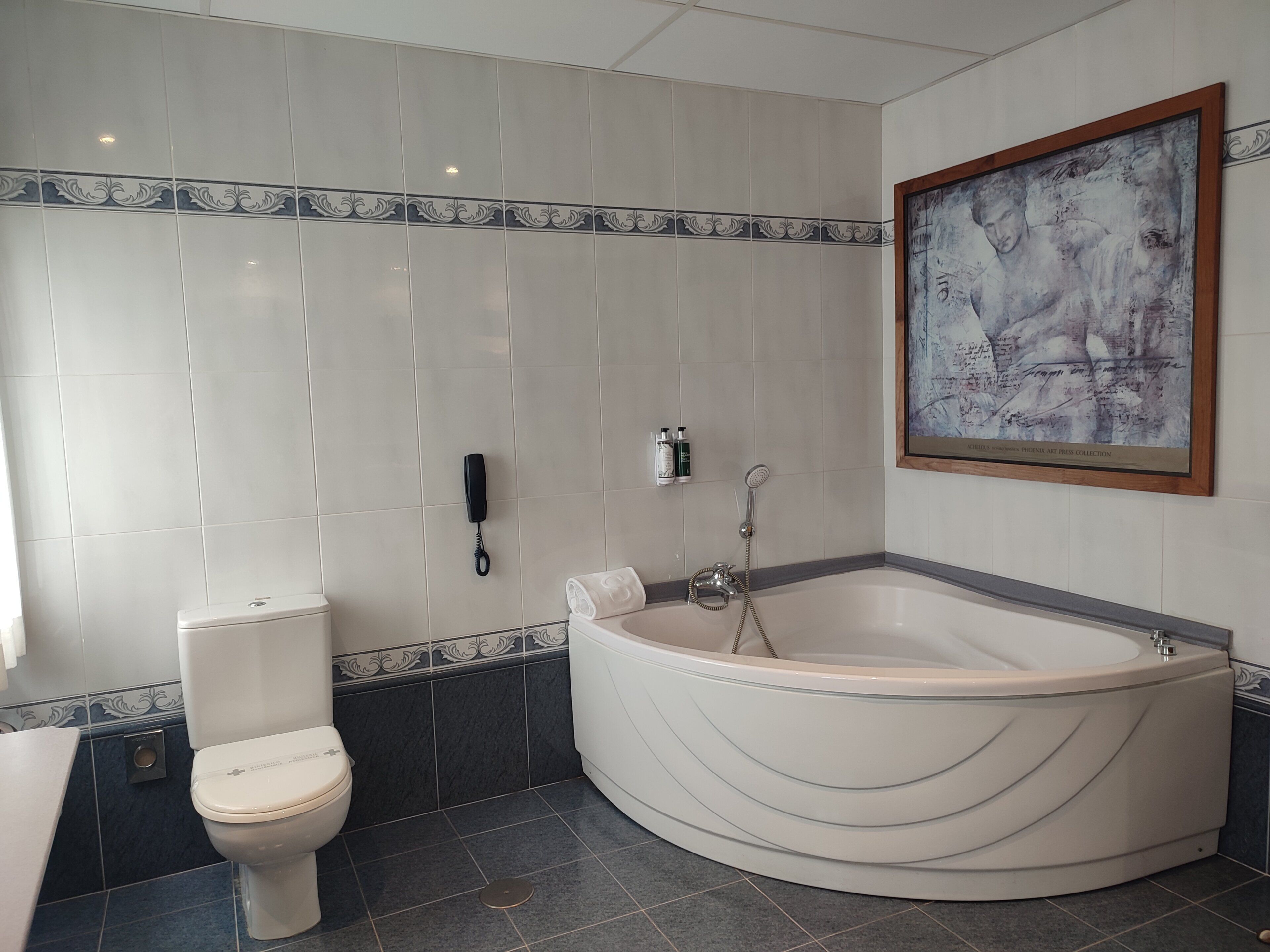A bathroom with a toilet, a bathtub, and a shower.