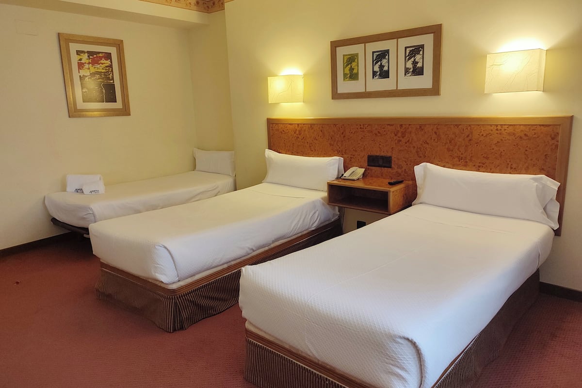 Hypo-allergenic bedding, minibar, in-room safe, desk