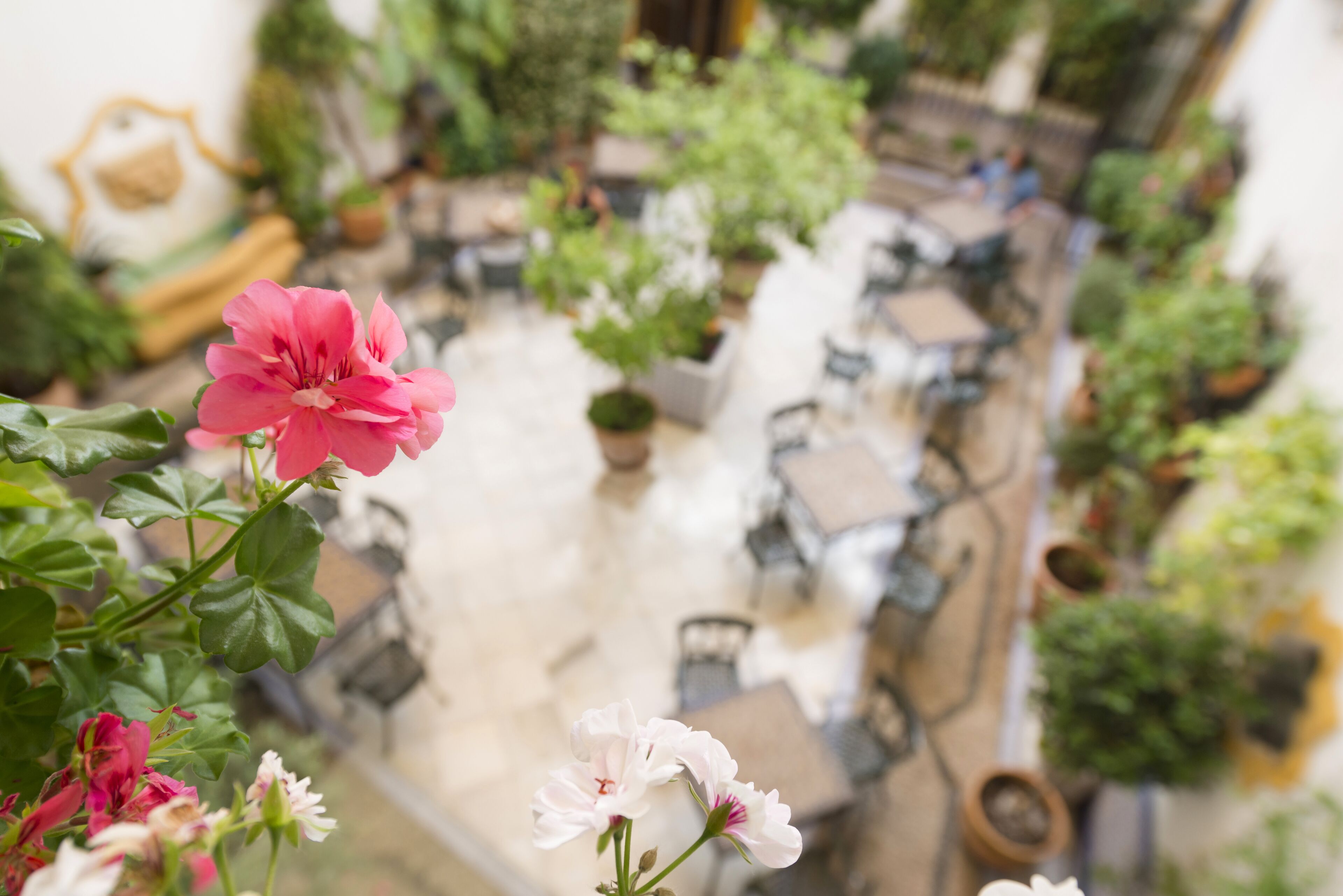 Photo - Eurostars Maimonides