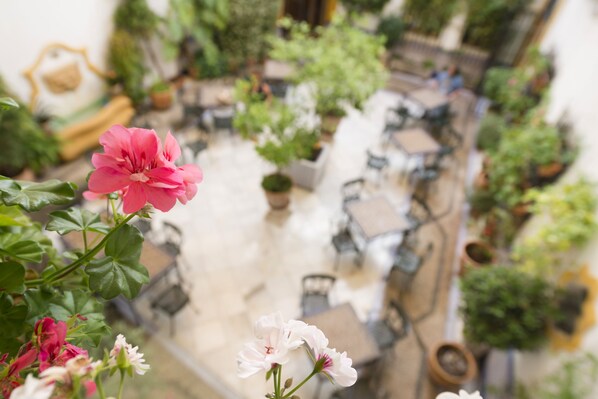 A courtyard with potted plants and outdoor seating.