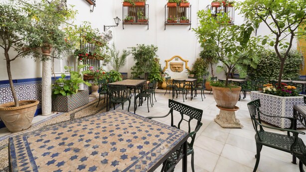 An outdoor patio area with tables and chairs, surrounded by potted plants and a tiled floor. - Eurostars Maimónides Hotel (Córdoba)