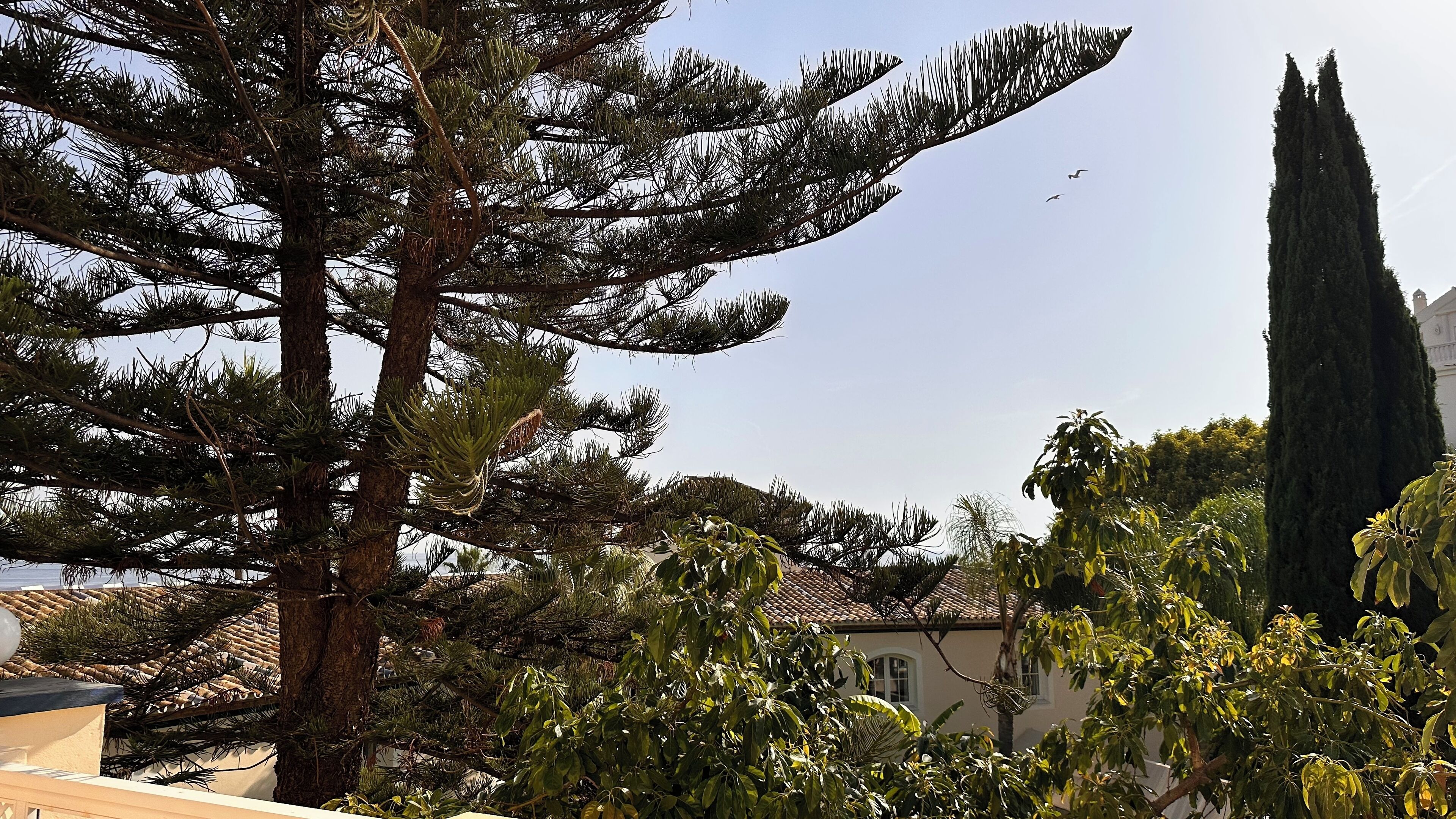 junior suite, terrace, garden view | garden view